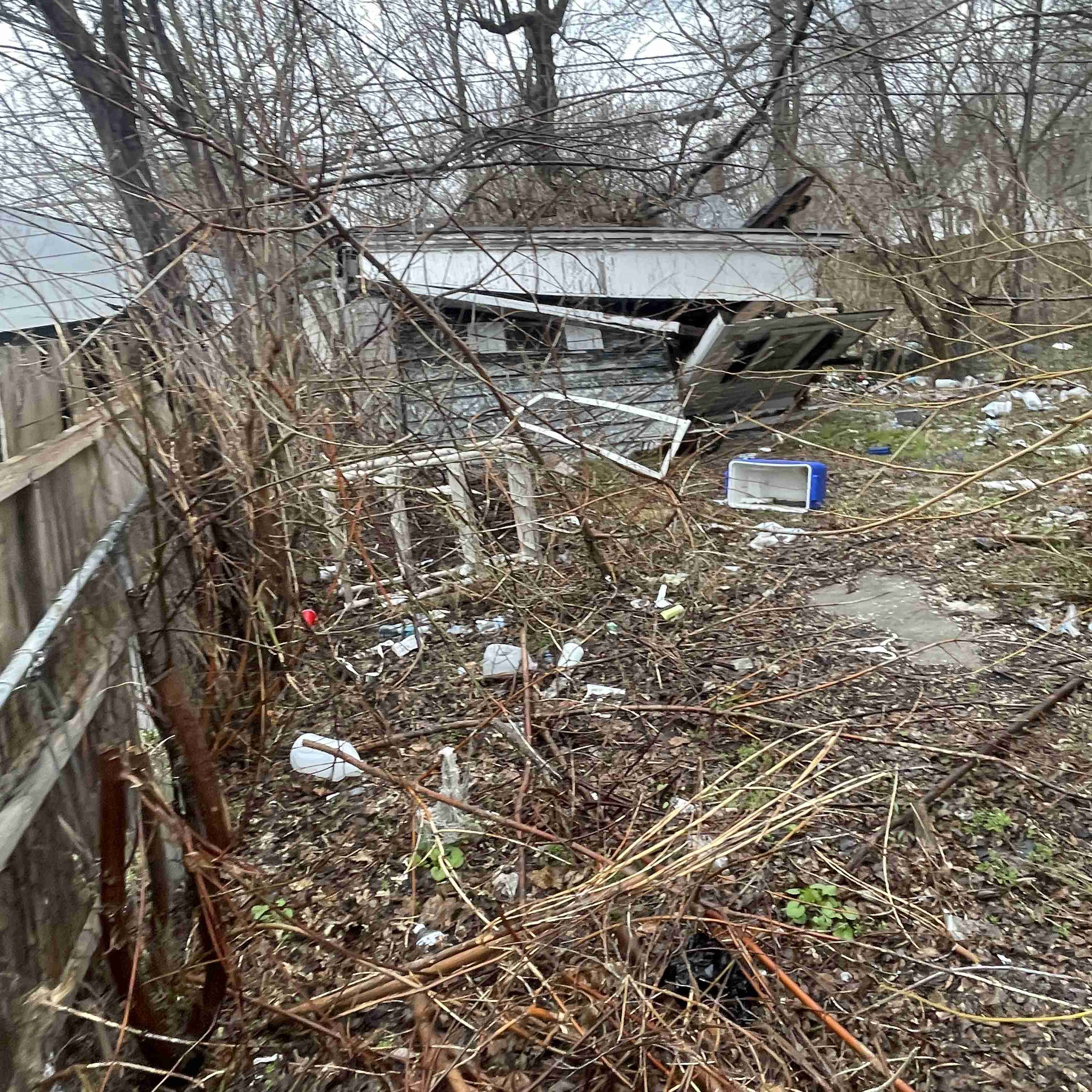 20015 Schoenherr (15).jpg